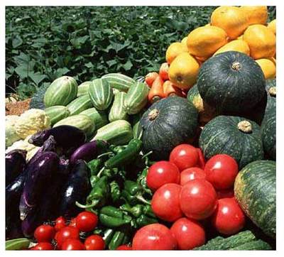 重慶市萬州區(qū)人大代表 蒞臨百安港農產品批發(fā)市場視察