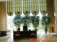 【重慶榕樹盆景】價(jià)格、產(chǎn)品供應(yīng),重慶榕樹盆景廠家批發(fā)列表2-1024商務(wù)網(wǎng)