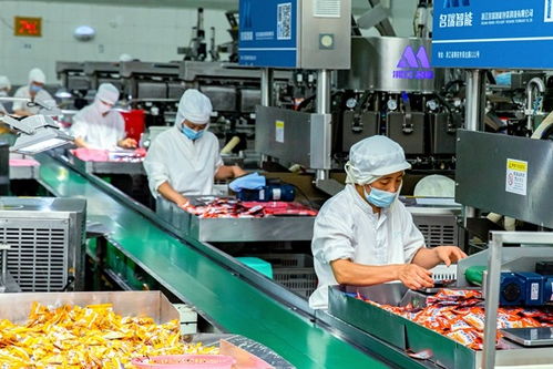 從 會(huì)海突圍 到 服務(wù)上岸 北碚以高質(zhì)量黨建統(tǒng)領(lǐng)改革與發(fā)展